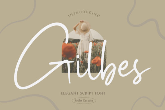 Gilbes Script Font: A Balanced and Beautiful Choice for Branding