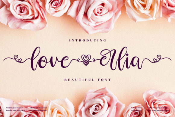 Love Erlia Font: A Script Typeface for Creative Makers